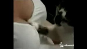 Показала грудь