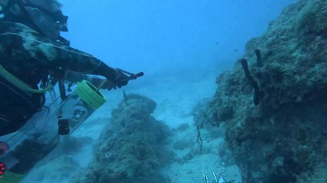 Wreck Scuba Diving SPEARING Lion Fish CONTEST!! Key West смотреть онлайн