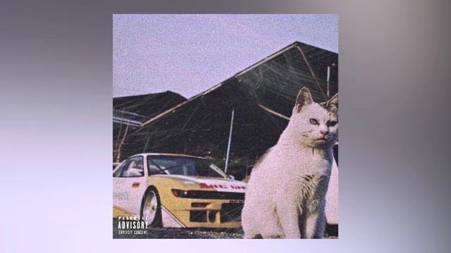 LVL1 - FVN! (kitty phonk) смотреть онлайн