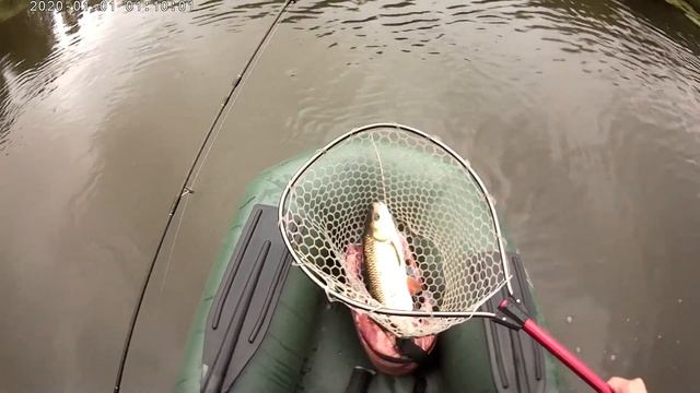 Крупный голавль атакует ,нагоняя волну 🌊 смотреть онлайн