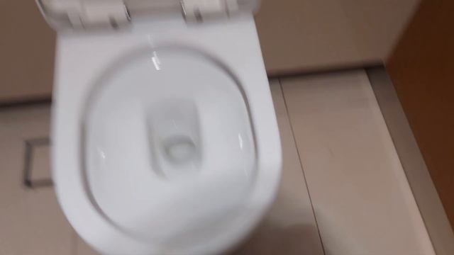 #138: (Singapore toilet 🇸🇬) Toto CW762 wall-hung toilet смотреть онлайн