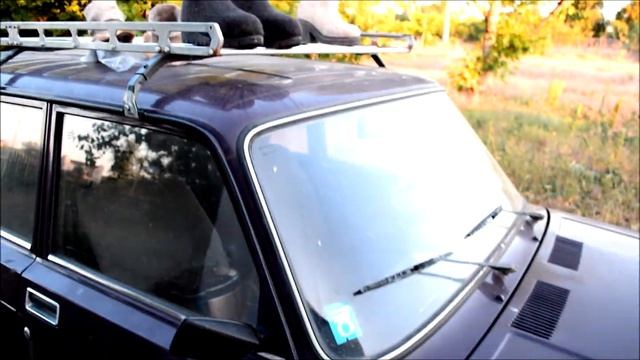 Куры-3. Поп-корн.