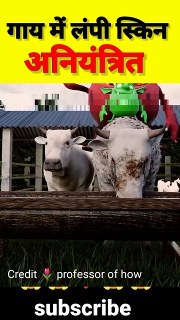 गाय में लंपी स्किन Uncontrolled Lumpy virus is killing cows in India 😱😱 #shorts #science #magic #co смотреть онлайн