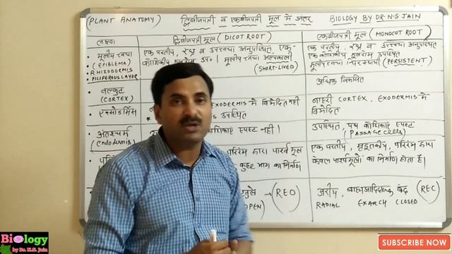 Difference between Dicot & Monocot Root (Plant Anatomy) | Hindi Medium смотреть онлайн