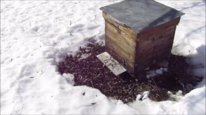 Репетиция первого очистительного облета.