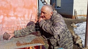 Николаевские голуби 2025