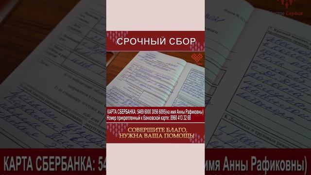 Срочный сбор смотреть онлайн
