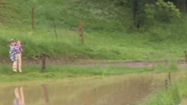 Дожди в Германии