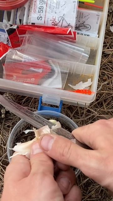 Рецепт чесночных червей на карася.  Https://t.me/fisheveryday