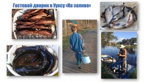 Карелия, Ууксу, гостевой домик в деревне на полуострове Уксалонпя, на заливе Уксунлахти