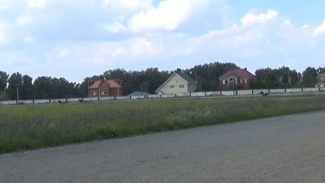 2017. Заезд № 6 (88). смотреть онлайн