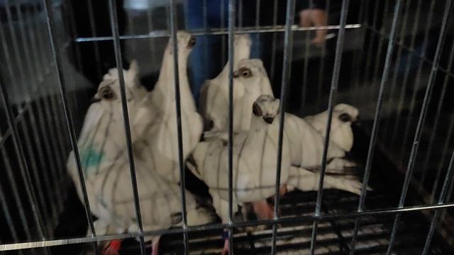 8.03.2025г ст. Бронницы Сборная ч. 3 смотреть онлайн