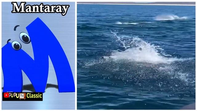 Phonic Sound | Abcs Phonics Song | ABCD Sea Song | A For Apple Song#loolookid#chuchutv