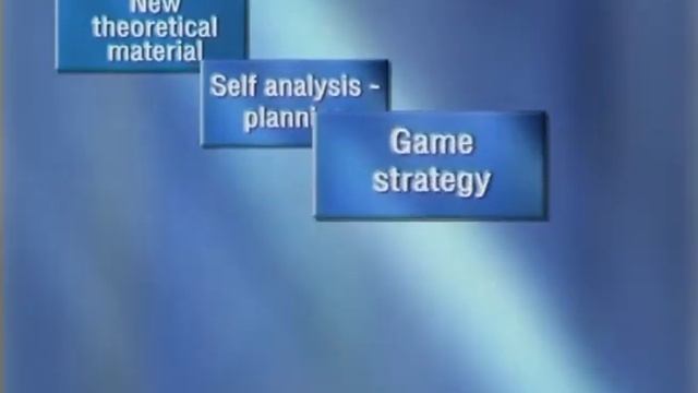 Management Simulation Merkis