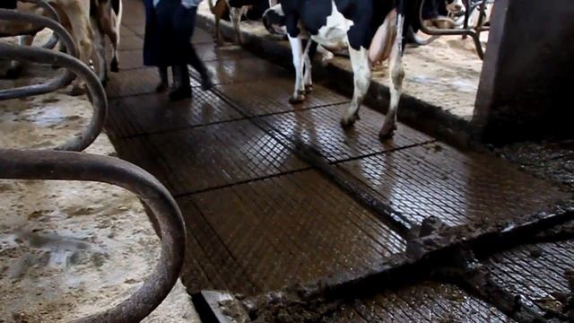 Emissiearme Duurzaamheidsvloer Berkel Beton 2 смотреть онлайн
