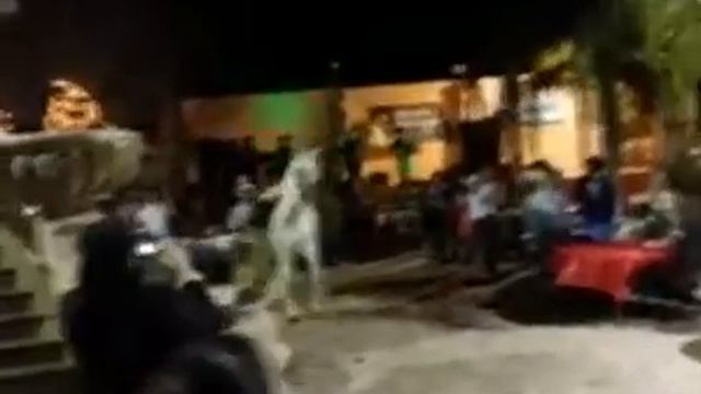 Как лошадь танцует смотреть онлайн