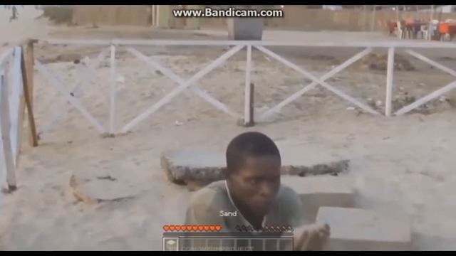 Кот насрал. Я просто в шоке! смотреть онлайн