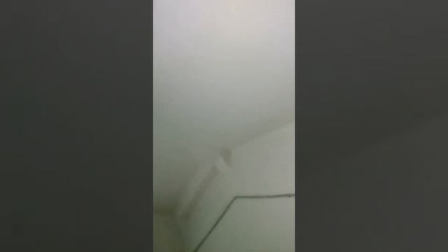 Сбросили 2 раза ботинок с 10 этажа. смотреть онлайн