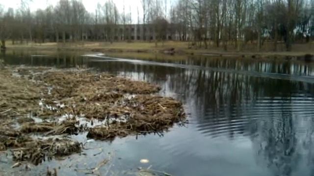 Pince 400 - 19-03-2010 смотреть онлайн