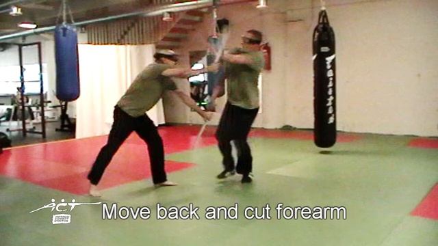 Machete fighting.Countering a rush. Seminar Finland 2014. Armed Combat and Tactics. смотреть онлайн