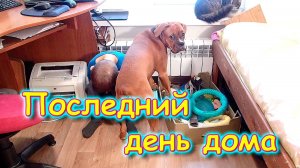 Последний день дома перед вылетом в Сочи. В городе. И др. (03.25г.) Семья Бровченко.