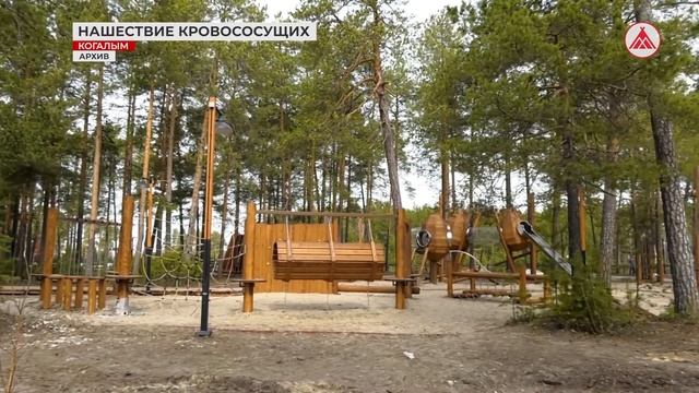 Ждать ли нашествия гнуса этим летом? смотреть онлайн