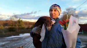 МУЖИКИ ДЕРЖИТЕСЬ🌼🪻🌷8 МАРТА