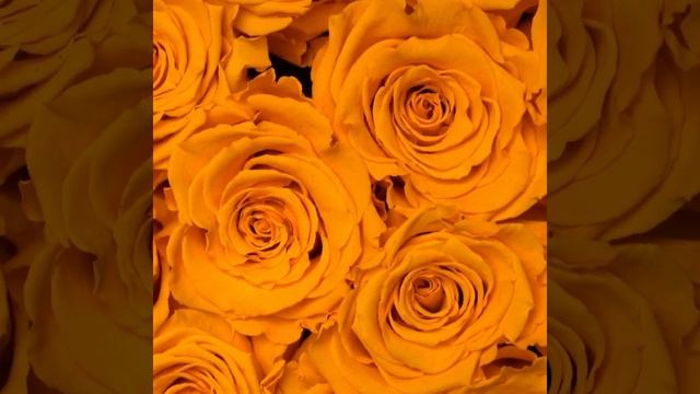 Flowerbox By Fleur De Paris®