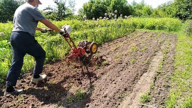 Летняя фрезеровка грядок // ЭлектроКрот с частотником смотреть онлайн