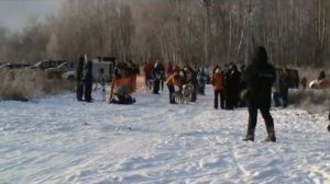 Рождественская гонка в Чулково - Sleddogs race