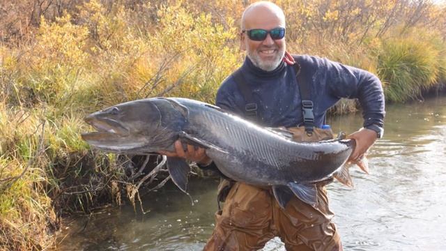 pêche taimen en mongolie avec Marc Dupuy смотреть онлайн