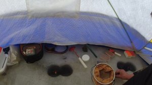 Зимняя рыбалка на Финском заливе 2025