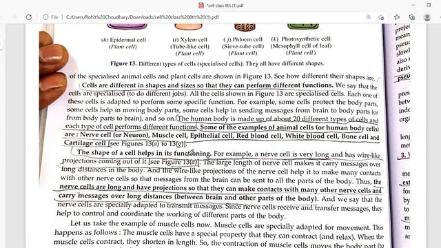 cell part 2 class 8th смотреть онлайн