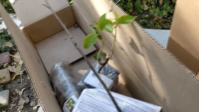 Отзыв Агромаркет (відгук) смотреть онлайн