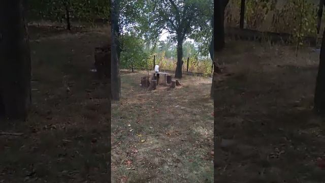 Реакция (Крот и фольга) смотреть онлайн