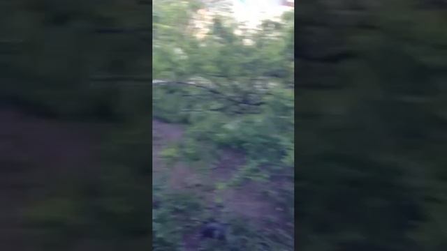 Вид с этого балкона смотреть онлайн