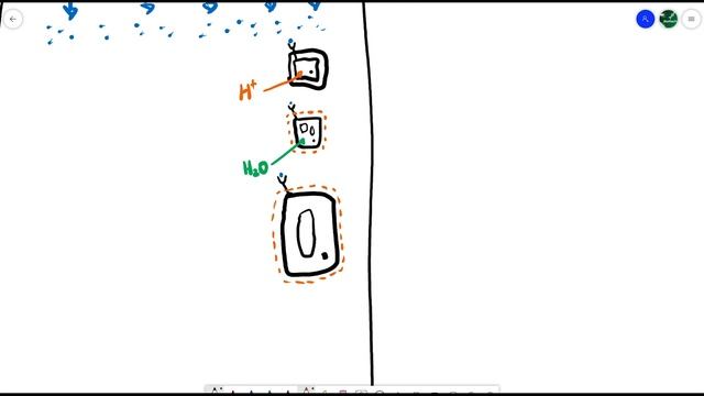 A2 Biology - Plant growth and development (OCR A Chapter 16.1) смотреть онлайн