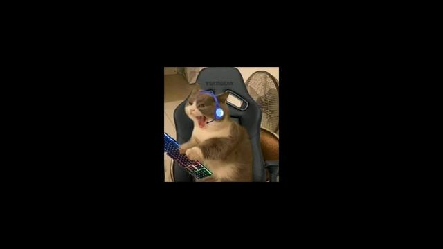 chama o coveiro (sped up) смотреть онлайн