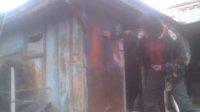 Лапа тигра смотреть онлайн