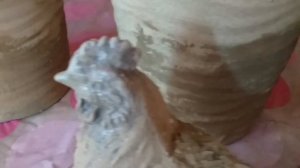 Как покрасить пластиковые вазоны для сада DIY