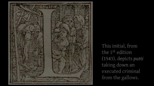 Body of Knowledge: Anatomy in the Renaissance