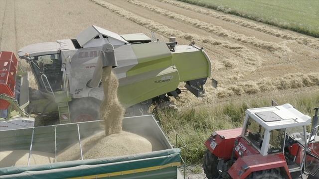 2x Claas Mähdrescher In Der Erntesasion 2021 I Tucana 430 I Lexion450🌾 4k