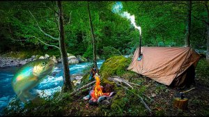 Красивая Рыбалка Поход Кемпинг в лесу в горячей палатке лови и готовь форель в горной речке
