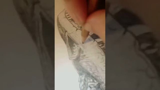 Smaug timelapse смотреть онлайн