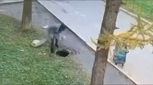 Ребенок провалился в колодец