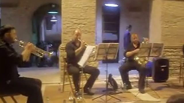 WHITE NARCISS  tolve 03 08 2011 classic medly.avi