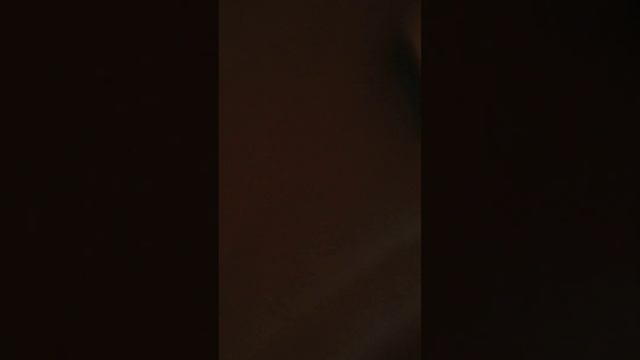 Обзор автомобиля 