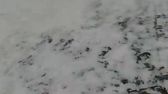 Стрелка смотреть онлайн