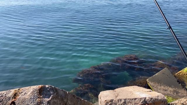 Рыбалка на черном море в марте! Не фартануло смотреть онлайн