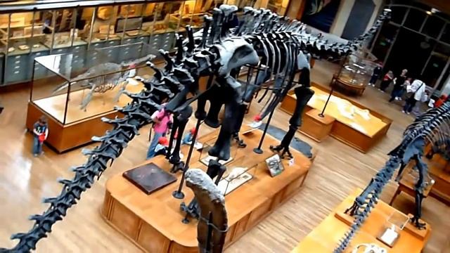 Мое измененное видео смотреть онлайн